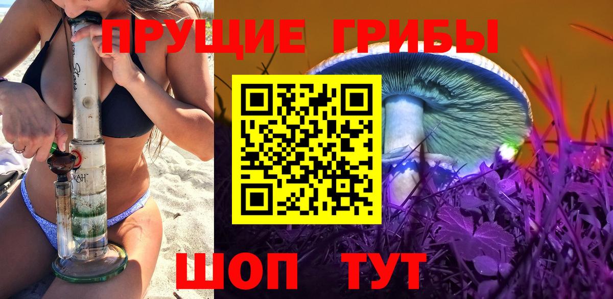 Свободный  магазин продажи   Галлюциногенные грибы GOLDEN TEACHER  Вход с VPN  Псилоцибиновые грибы мицелий 